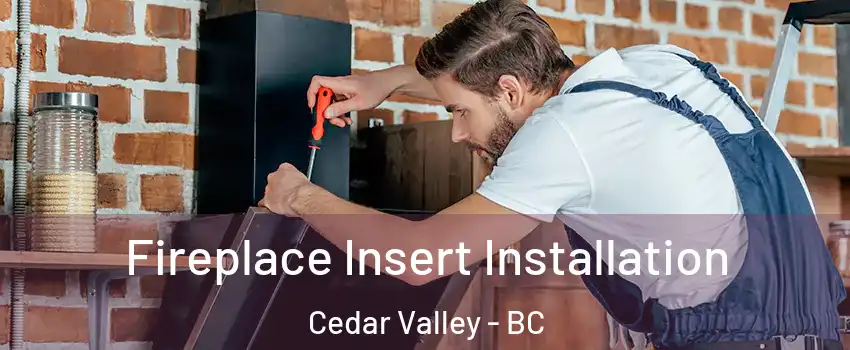  Fireplace Insert Installation Cedar Valley - BC