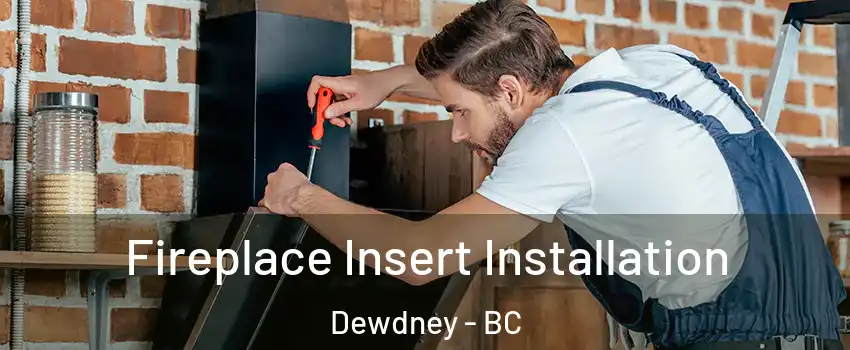  Fireplace Insert Installation Dewdney - BC