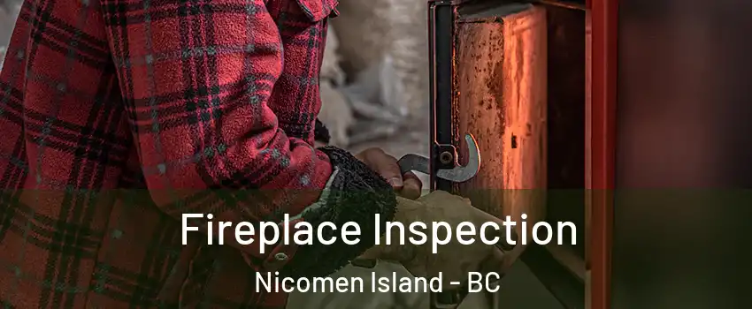  Fireplace Inspection Nicomen Island - BC
