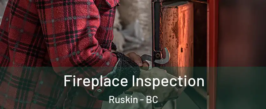  Fireplace Inspection Ruskin - BC