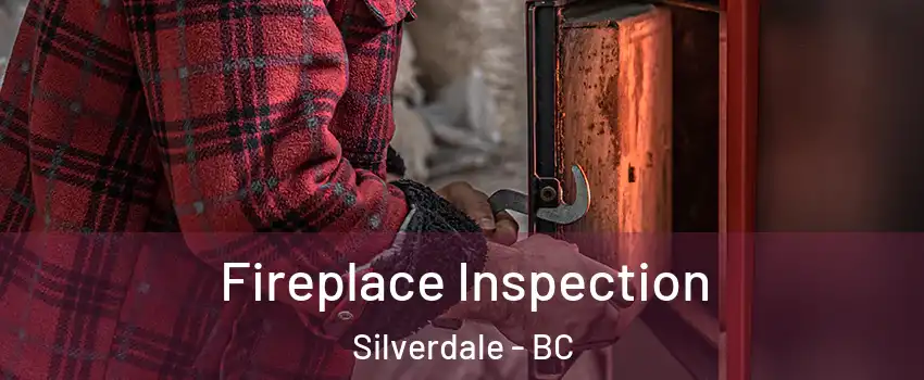  Fireplace Inspection Silverdale - BC