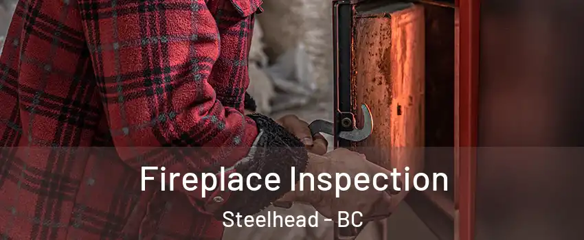  Fireplace Inspection Steelhead - BC