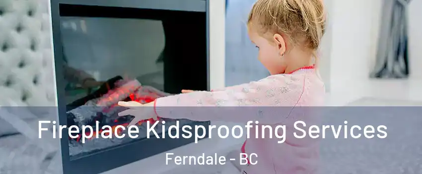  Fireplace Kidsproofing Services Ferndale - BC