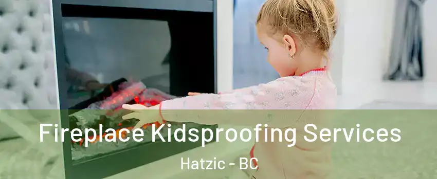  Fireplace Kidsproofing Services Hatzic - BC