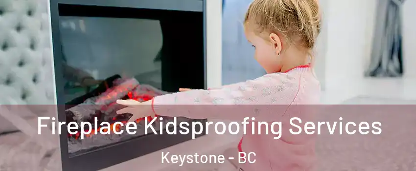  Fireplace Kidsproofing Services Keystone - BC