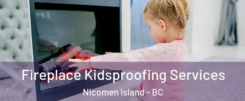  Fireplace Kidsproofing Services Nicomen Island - BC