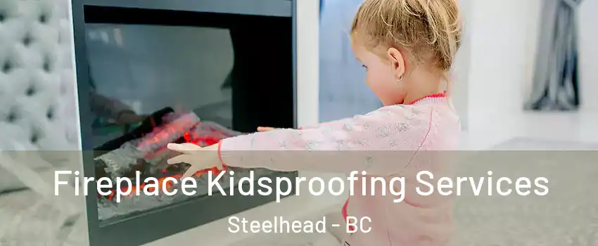  Fireplace Kidsproofing Services Steelhead - BC