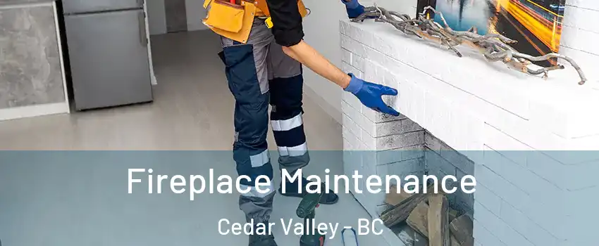  Fireplace Maintenance Cedar Valley - BC