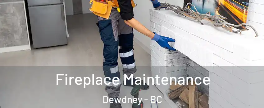  Fireplace Maintenance Dewdney - BC