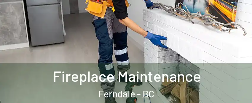  Fireplace Maintenance Ferndale - BC
