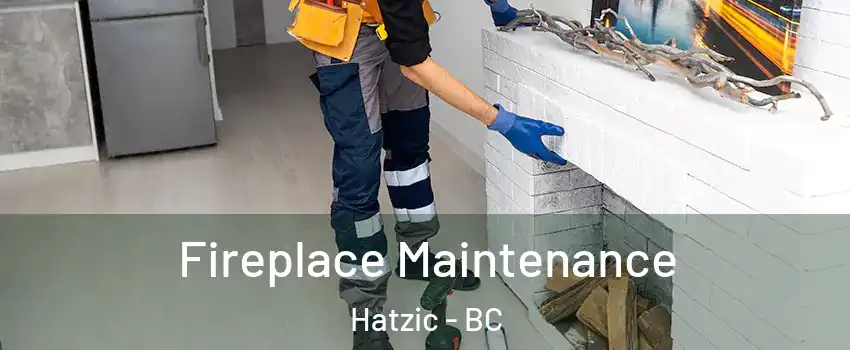  Fireplace Maintenance Hatzic - BC
