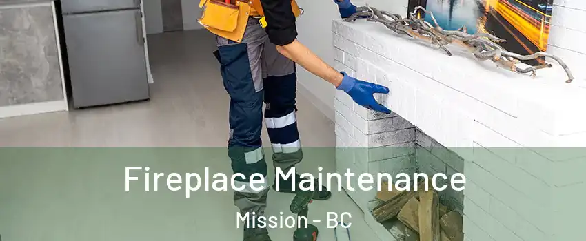  Fireplace Maintenance Mission - BC
