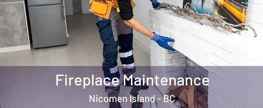  Fireplace Maintenance Nicomen Island - BC