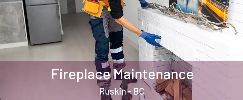  Fireplace Maintenance Ruskin - BC