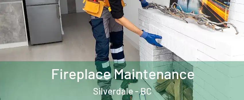  Fireplace Maintenance Silverdale - BC