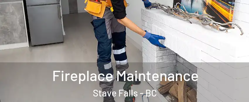  Fireplace Maintenance Stave Falls - BC