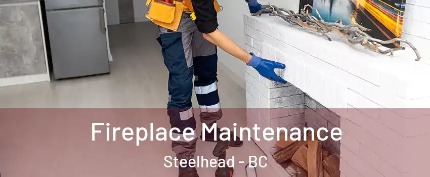  Fireplace Maintenance Steelhead - BC