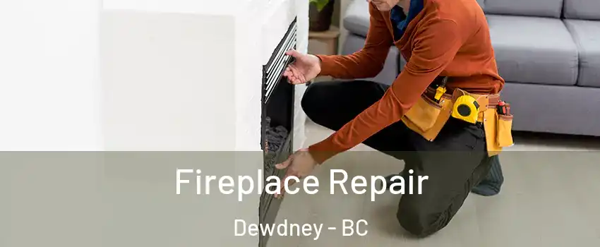 Fireplace Repair Dewdney - BC