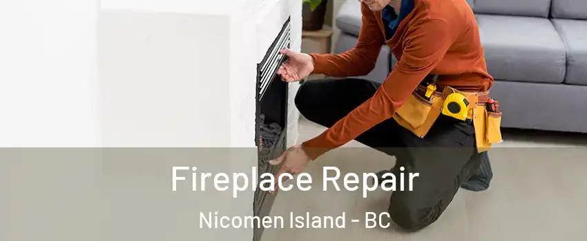  Fireplace Repair Nicomen Island - BC