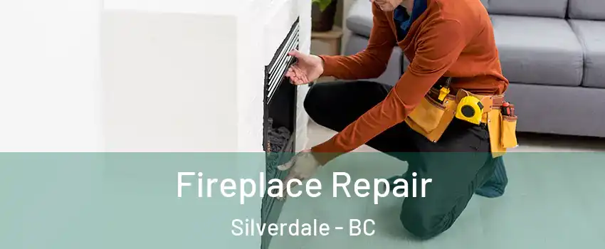  Fireplace Repair Silverdale - BC