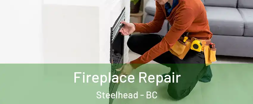  Fireplace Repair Steelhead - BC