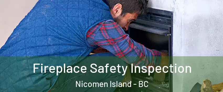 Fireplace Safety Inspection Nicomen Island - BC