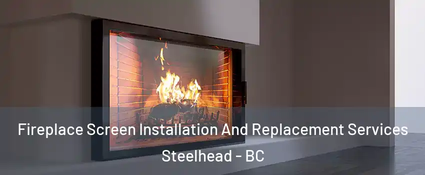 Fireplace Screen Installation And Replacement Services Steelhead - BC