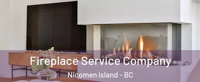 Fireplace Service Company Nicomen Island - BC