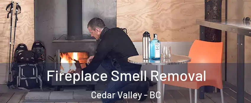  Fireplace Smell Removal Cedar Valley - BC