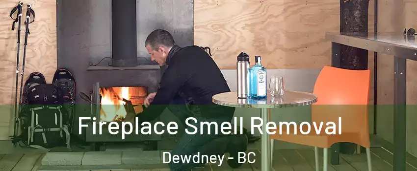  Fireplace Smell Removal Dewdney - BC