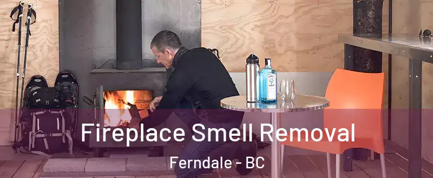  Fireplace Smell Removal Ferndale - BC