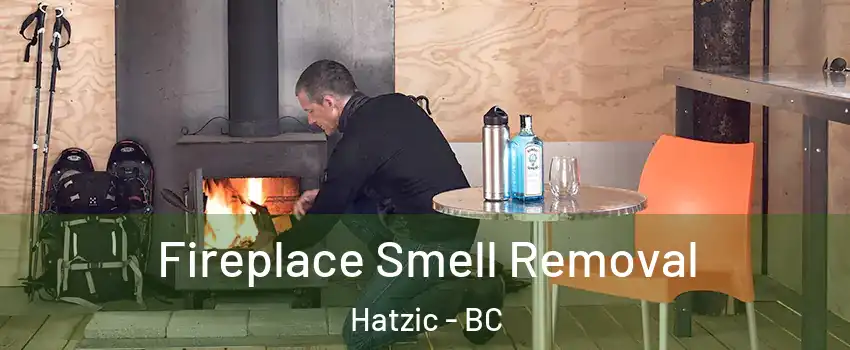  Fireplace Smell Removal Hatzic - BC