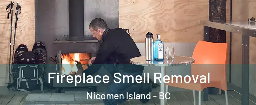  Fireplace Smell Removal Nicomen Island - BC
