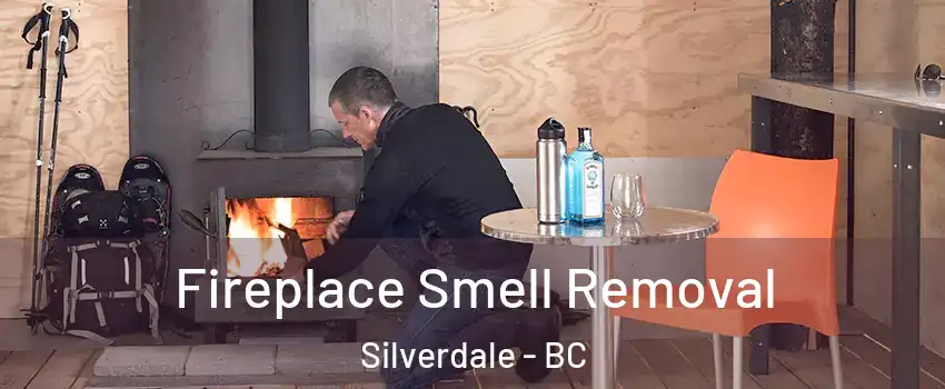  Fireplace Smell Removal Silverdale - BC