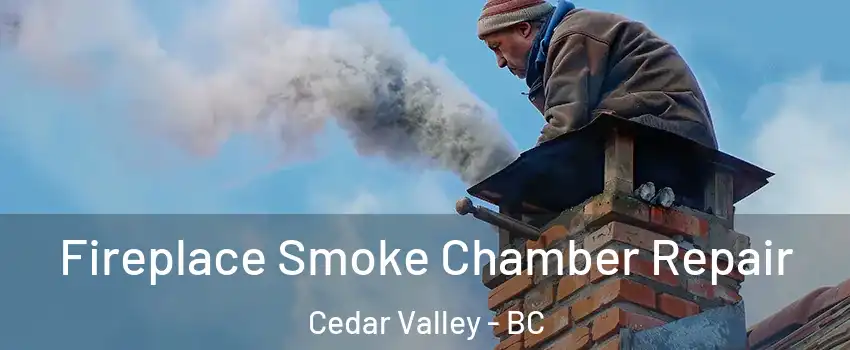  Fireplace Smoke Chamber Repair Cedar Valley - BC