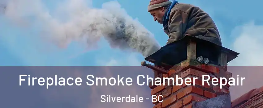  Fireplace Smoke Chamber Repair Silverdale - BC