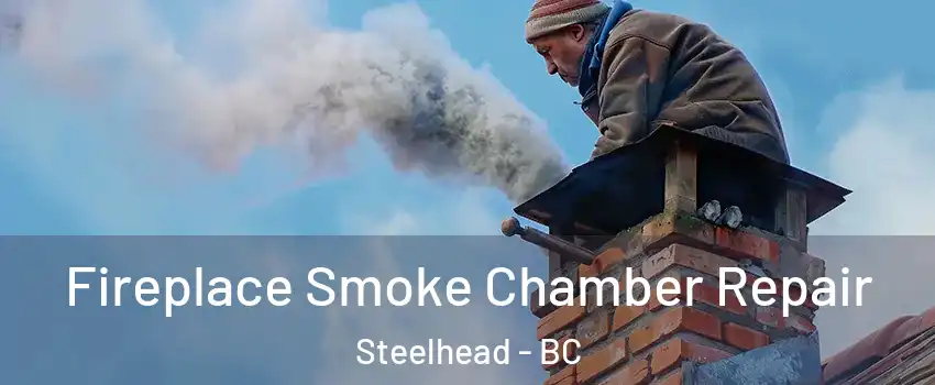  Fireplace Smoke Chamber Repair Steelhead - BC