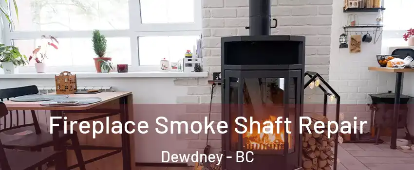  Fireplace Smoke Shaft Repair Dewdney - BC