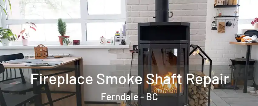  Fireplace Smoke Shaft Repair Ferndale - BC