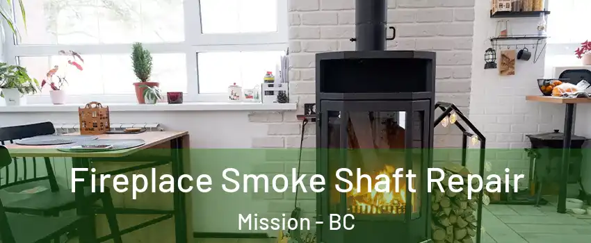  Fireplace Smoke Shaft Repair Mission - BC