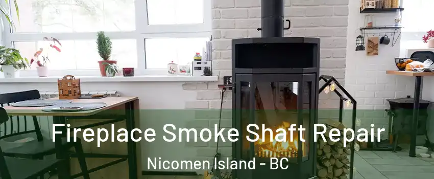  Fireplace Smoke Shaft Repair Nicomen Island - BC
