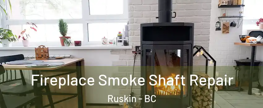  Fireplace Smoke Shaft Repair Ruskin - BC
