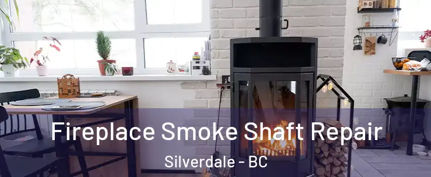  Fireplace Smoke Shaft Repair Silverdale - BC