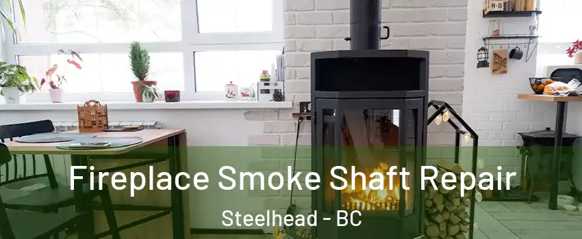  Fireplace Smoke Shaft Repair Steelhead - BC