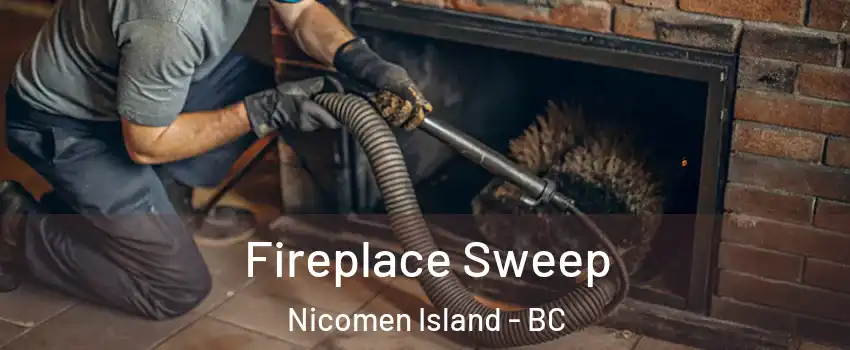  Fireplace Sweep Nicomen Island - BC