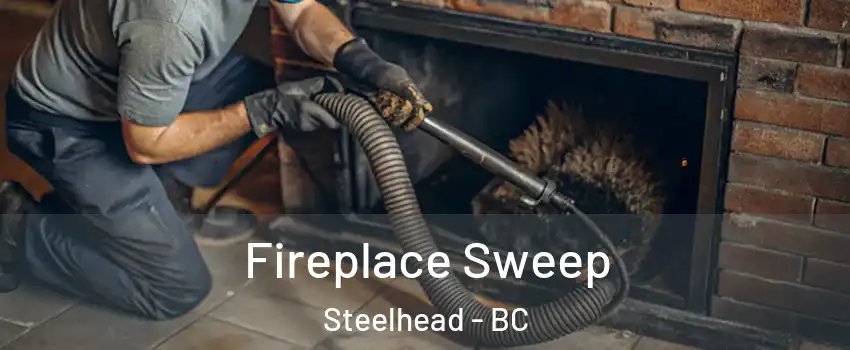  Fireplace Sweep Steelhead - BC