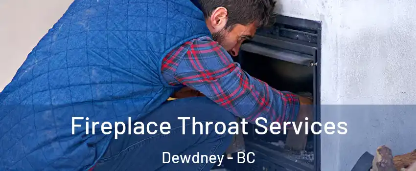 Fireplace Throat Services Dewdney - BC