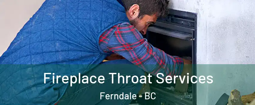  Fireplace Throat Services Ferndale - BC