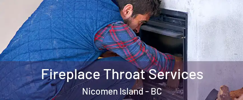  Fireplace Throat Services Nicomen Island - BC