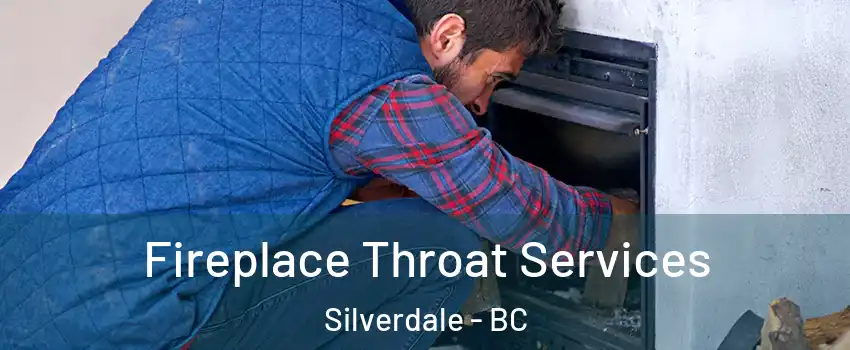  Fireplace Throat Services Silverdale - BC